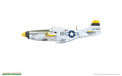 Eduard 1/48 P-51D Mustang (Profipack)