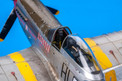 Eduard 1/48 P-51D Mustang (Profipack)