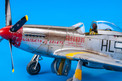Eduard 1/48 P-51D Mustang (Profipack)