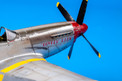 Eduard 1/48 P-51D Mustang (Profipack)