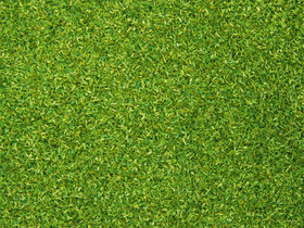 Noch Scatter Material - Light Green 42g