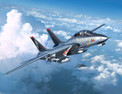 Revell 1/72 Grumman F-14D Super Tomcat