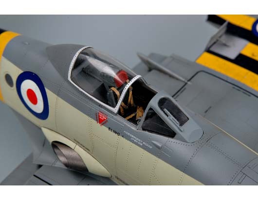Trumpeter 1/48 