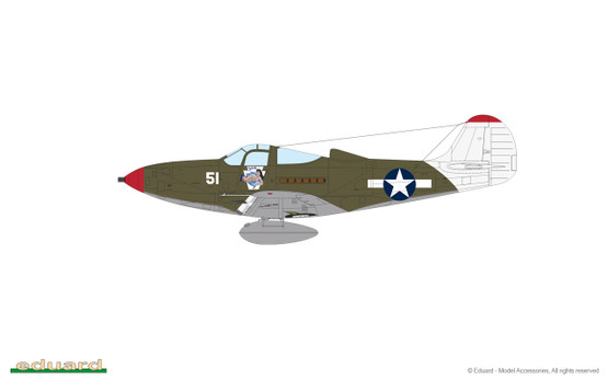 Eduard 1/48 P-39N Airacobra (Profipack)