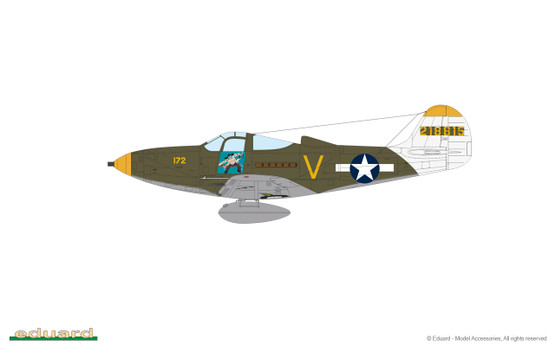 Eduard 1/48 P-39N Airacobra (Profipack)