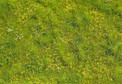 Model Scene Blooming Meadow - Spring