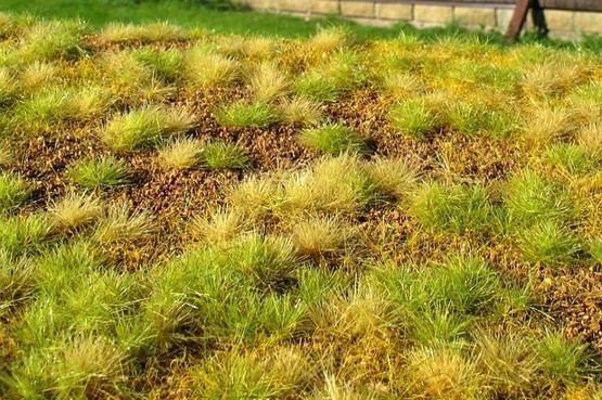 Model Scene Steppe Unwatered - Late Summer