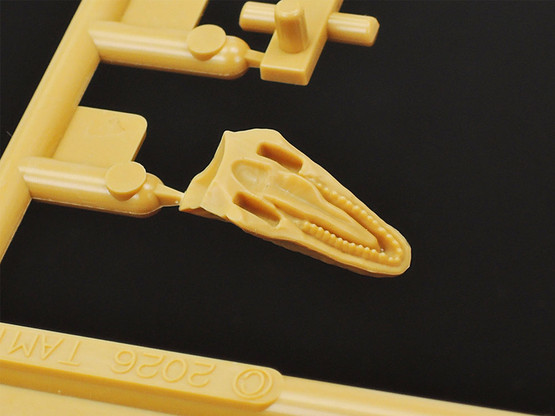 Tamiya 1/35 Fukuiraptor CLIC LOC