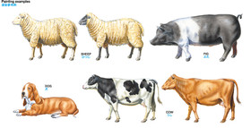Tamiya 1/35 Livestock Set II