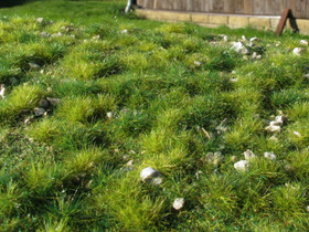 Model Scene Early Summer - Little Calc Stones