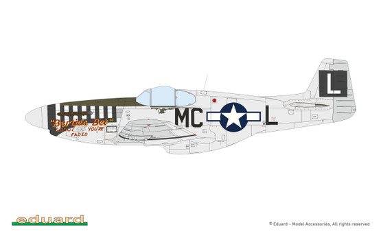 Eduard 1/48 P-51B/C Mustang with Dorsal Fin (Profipack)