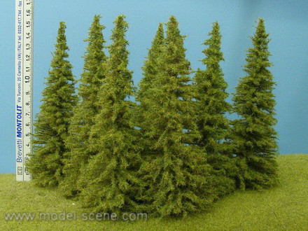 Model Scene Larch 140-160mm - 3kpl