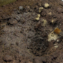 AK Terrains - Muddy Ground 250ml