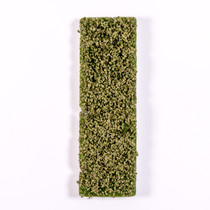 AK Interactive Beech Foliage Summer