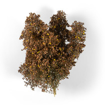 AK Interactive Late Fall Filigree Bushes
