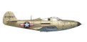 Arma Hobby 1/48 P-39 Q Airacobra