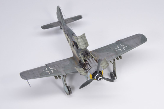 Eduard 1/72 Fw 190F-8 (Profipack)