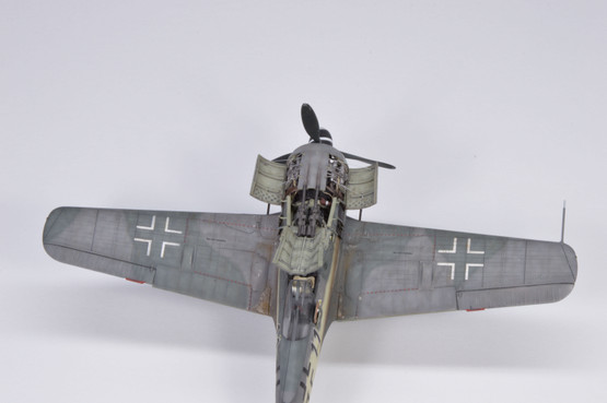 Eduard 1/72 Fw 190F-8 (Profipack)