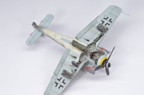Eduard 1/72 Fw 190F-8 (Profipack)