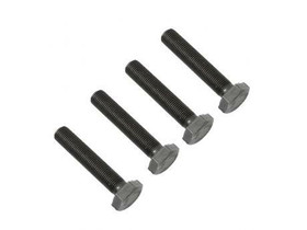 AQVA XL- ja L-suodatinkotelon pultit, 4kpl, RST, sisältää aluslevyt