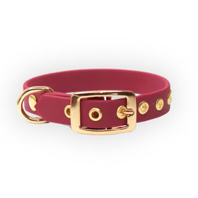 Furever Yours rusettipanta