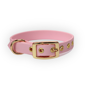 Pink Leo Pup rusettipanta