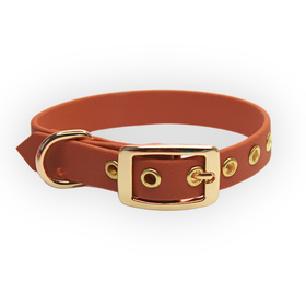 Brownie Paw rusettipanta