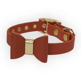 Brownie Paw rusettipanta