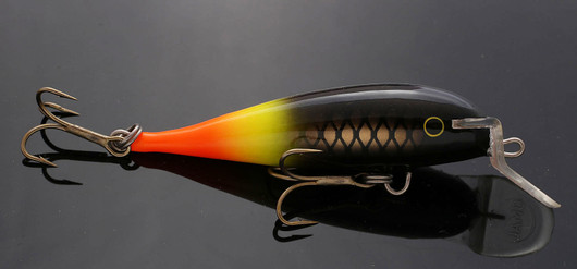 PP6