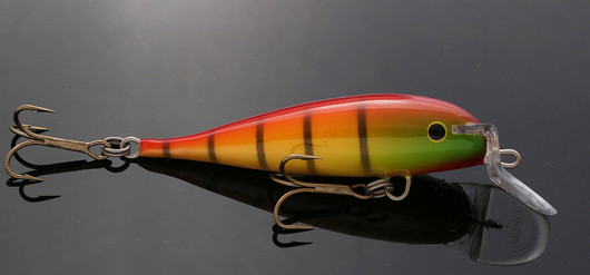 PP9