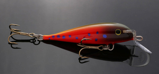 PP11