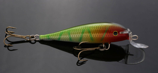 PP13