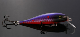 Kotiinpalaaja pisteillä