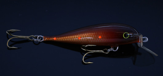 PP47