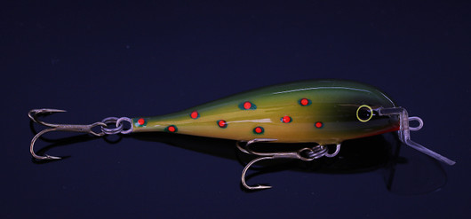 PP50