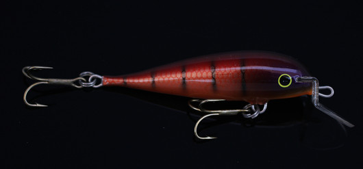 PP54