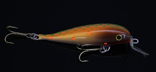 PP55