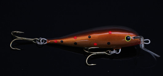 PP56