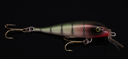 PP58