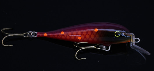 PP60