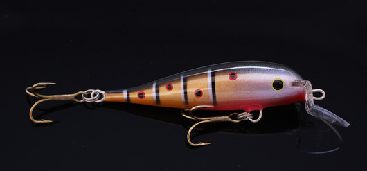 PP61