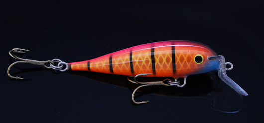 PP64