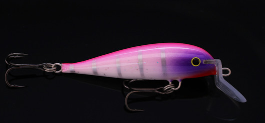 PP67