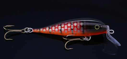 PP70