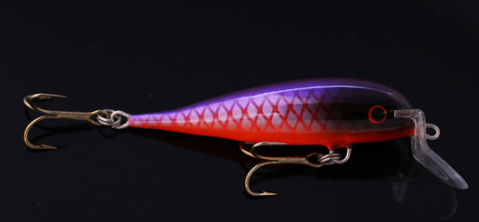 PP72