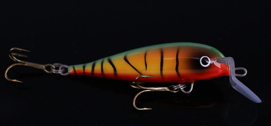 PP73