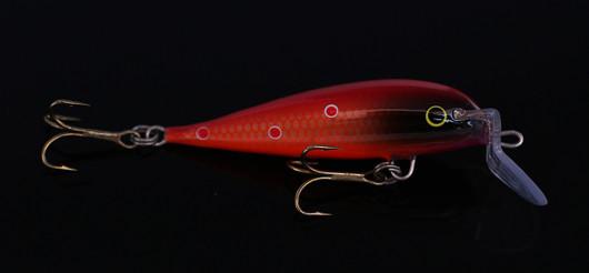 PP78