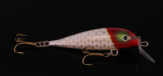 PP79