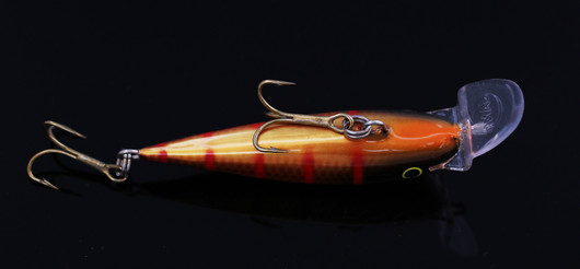 PP80