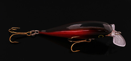 PP81